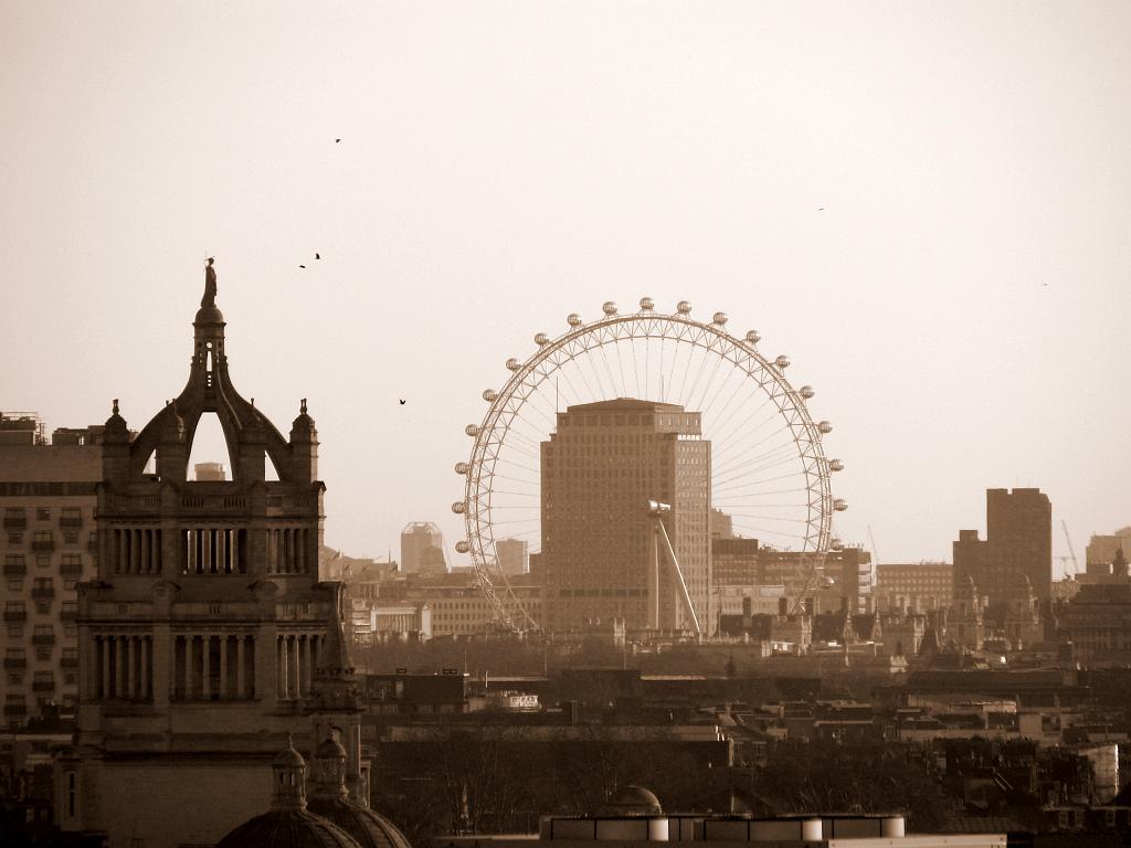 IMG_0993