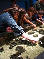 Aquarium