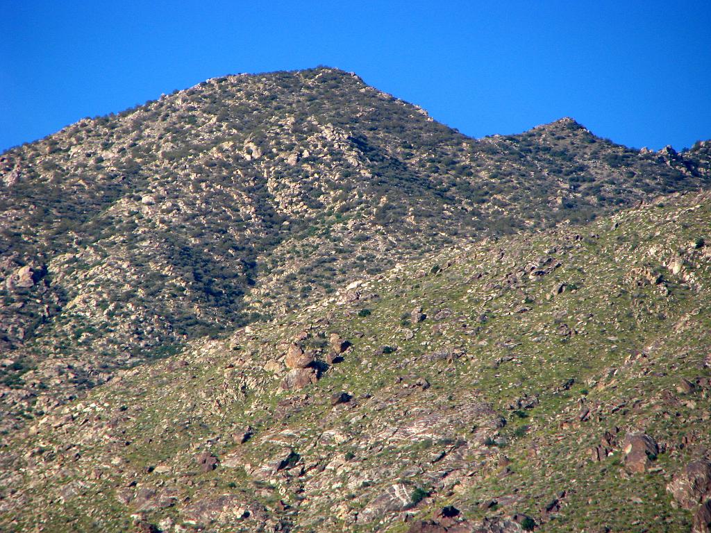IMG_2558