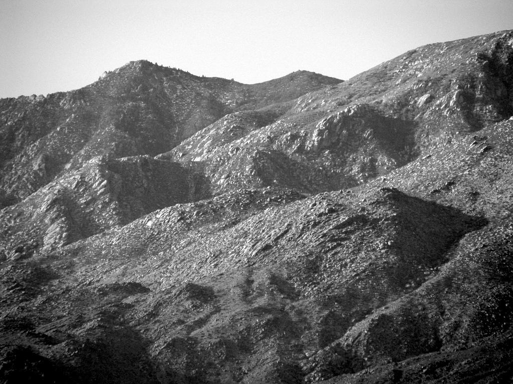 IMG_2560