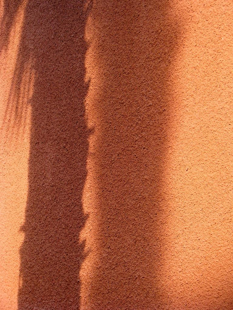 IMG_2581