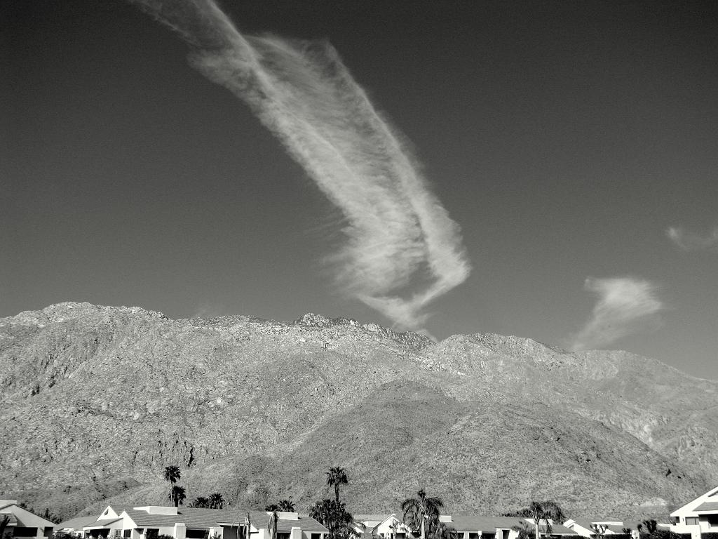 IMG_2635