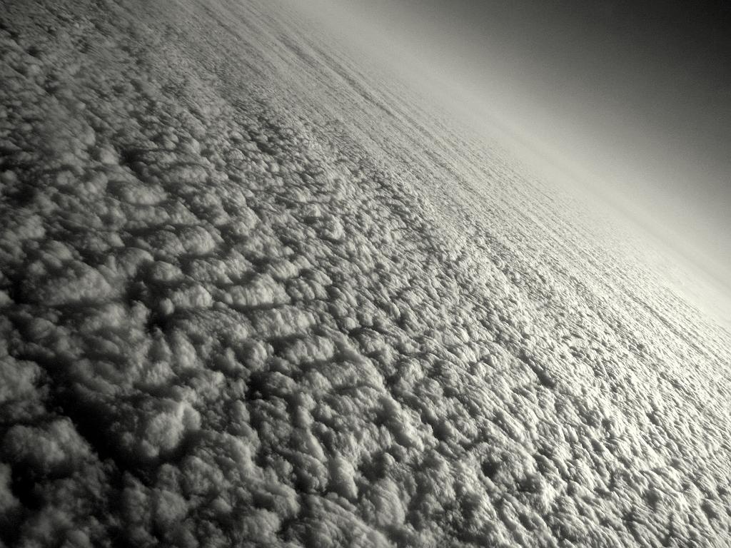 IMG_3195