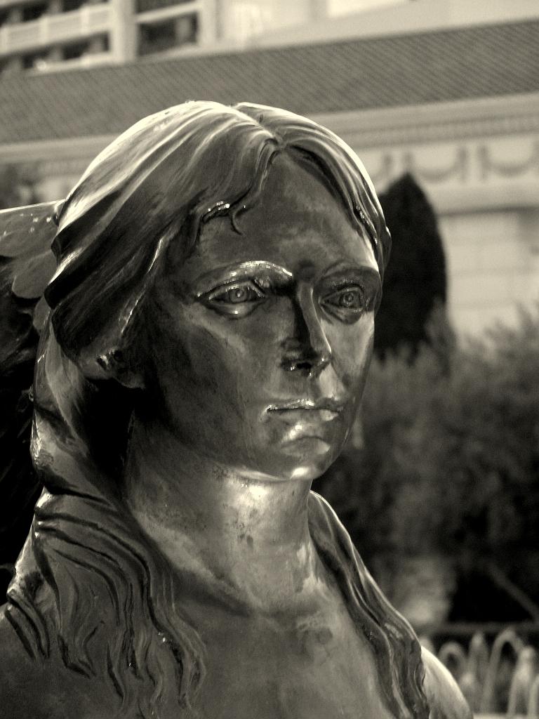 IMG_3704