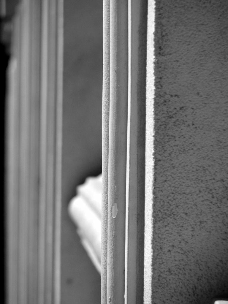 IMG_3904