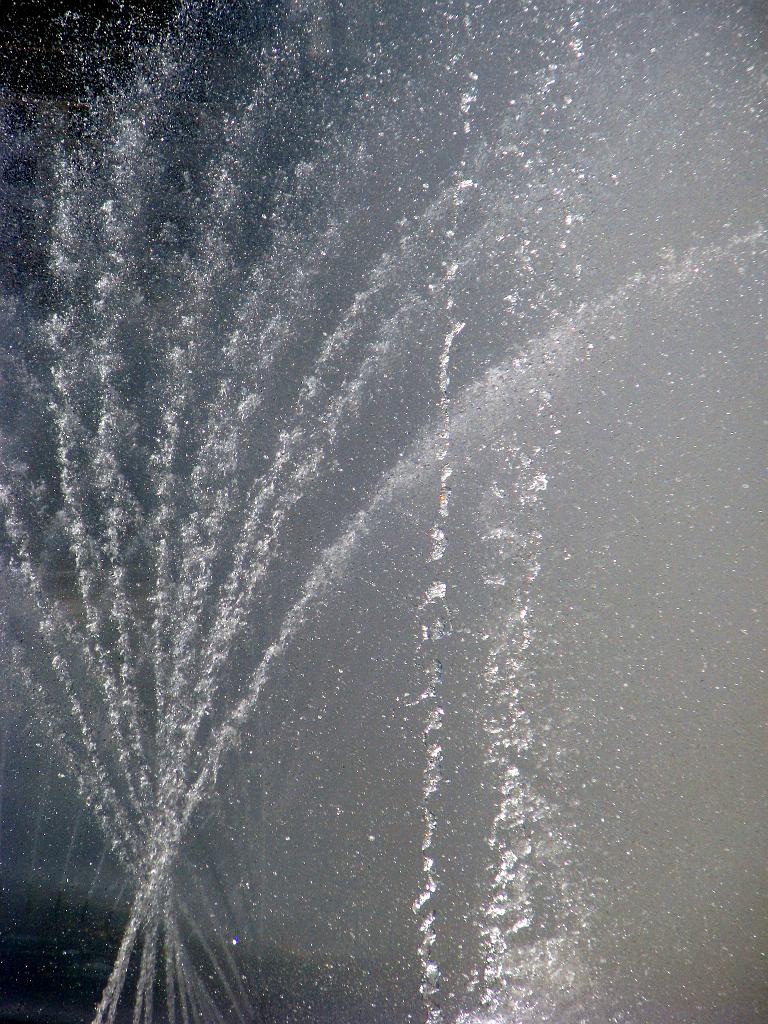 IMG_3927