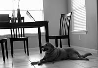 IMG_2131
