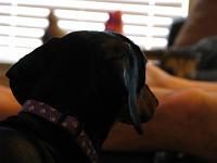 IMG_2172