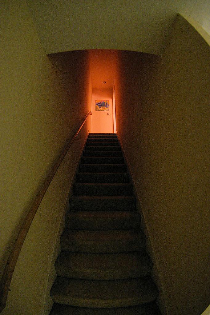 IMGP0470