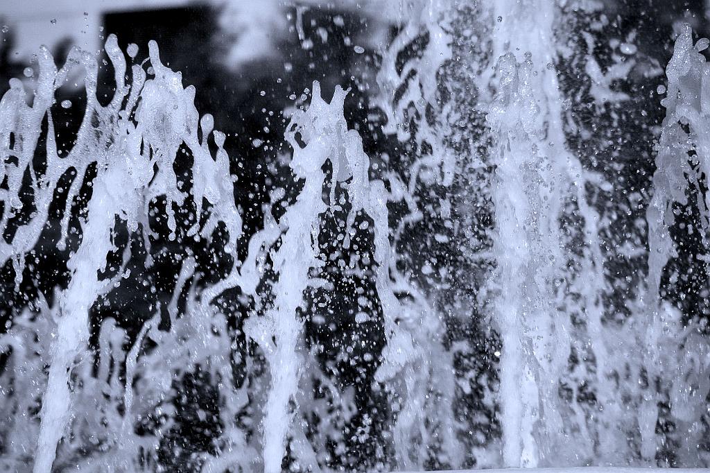IMGP0733