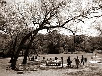 Brackenridge Park