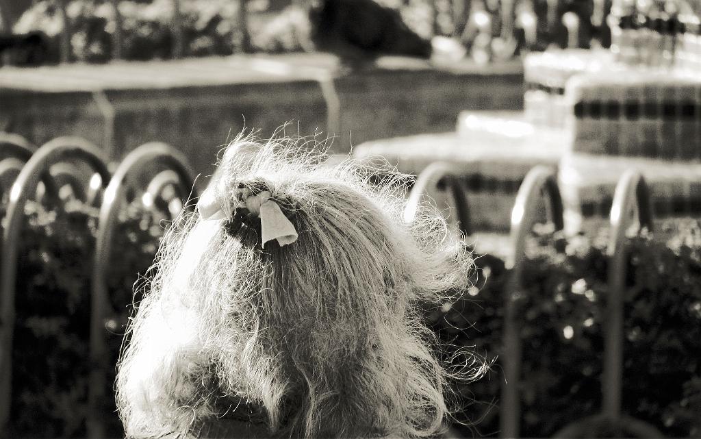 IMG_5529