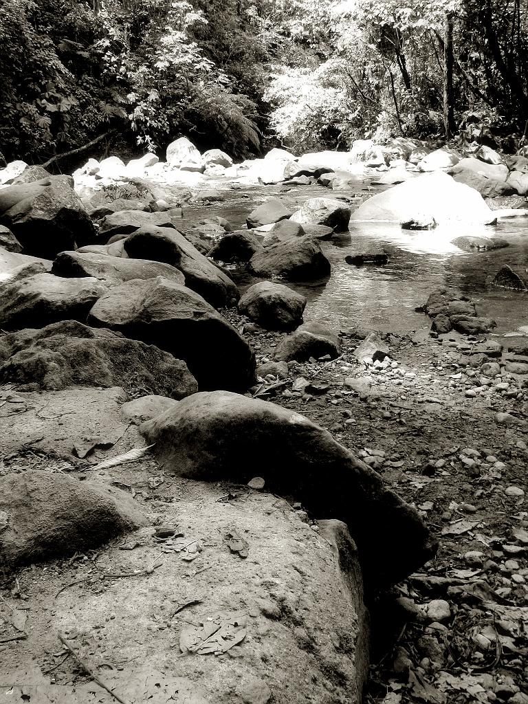 IMG_5810
