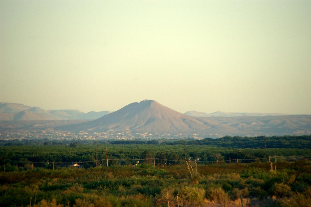 IMGP3946