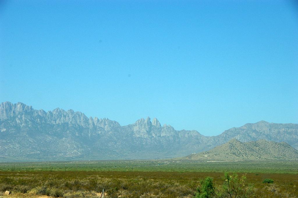 IMGP4515