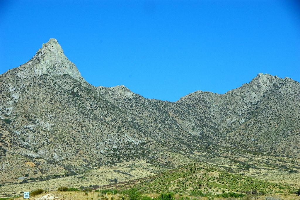 IMGP4559
