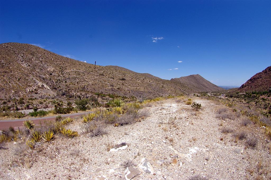 IMGP3596