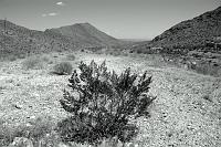 McKelligon Canyon