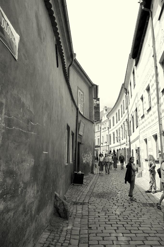 IMGP9086