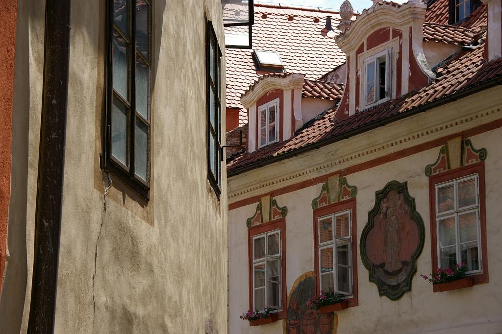 IMGP9121