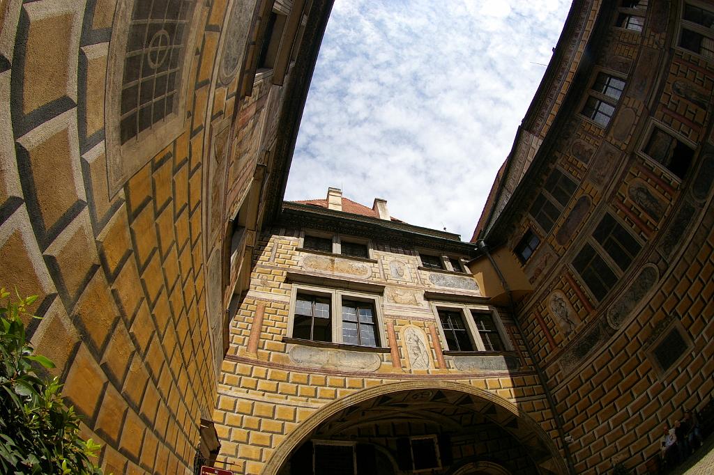 IMGP9251