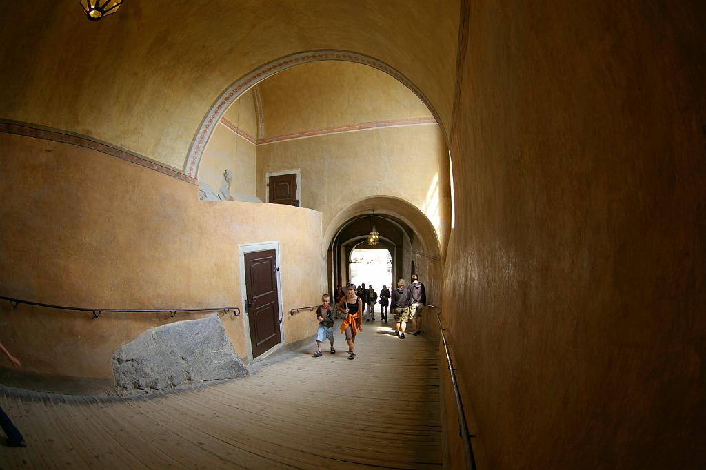 IMGP9267