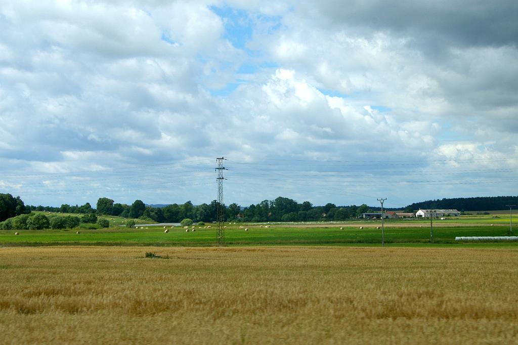 IMGP8879