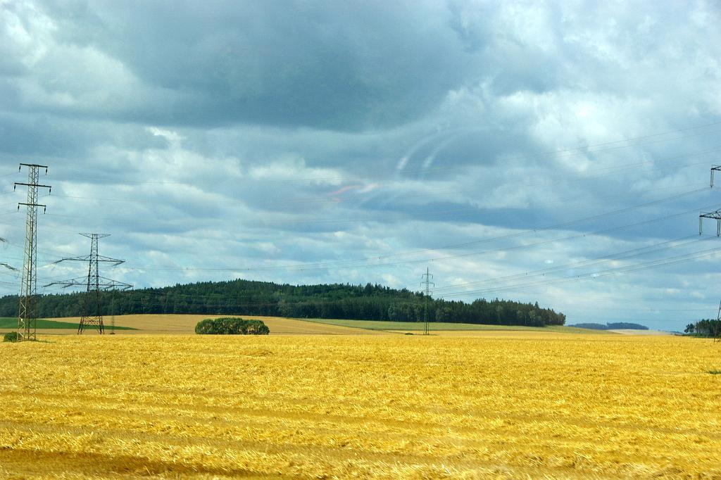 IMGP8881