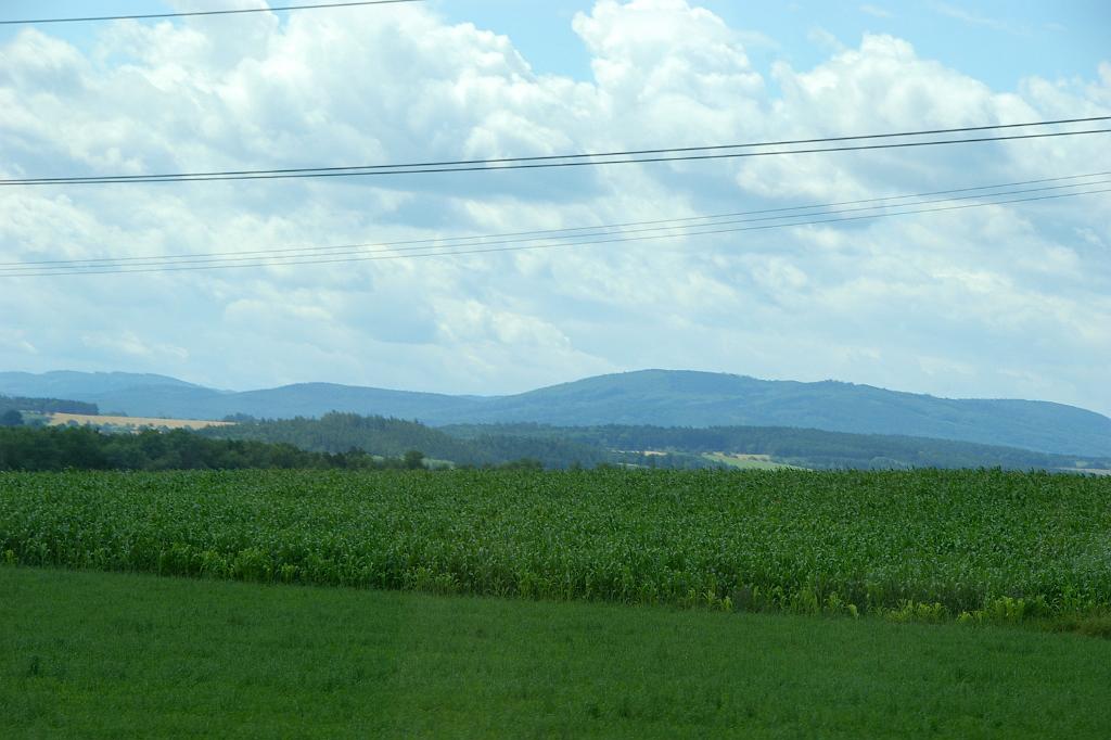 IMGP8890