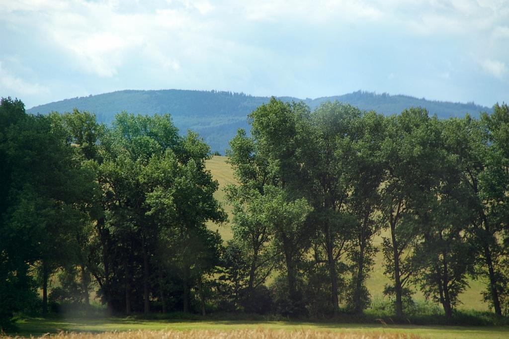 IMGP8893