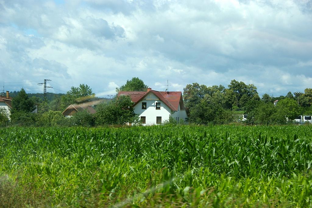 IMGP8896