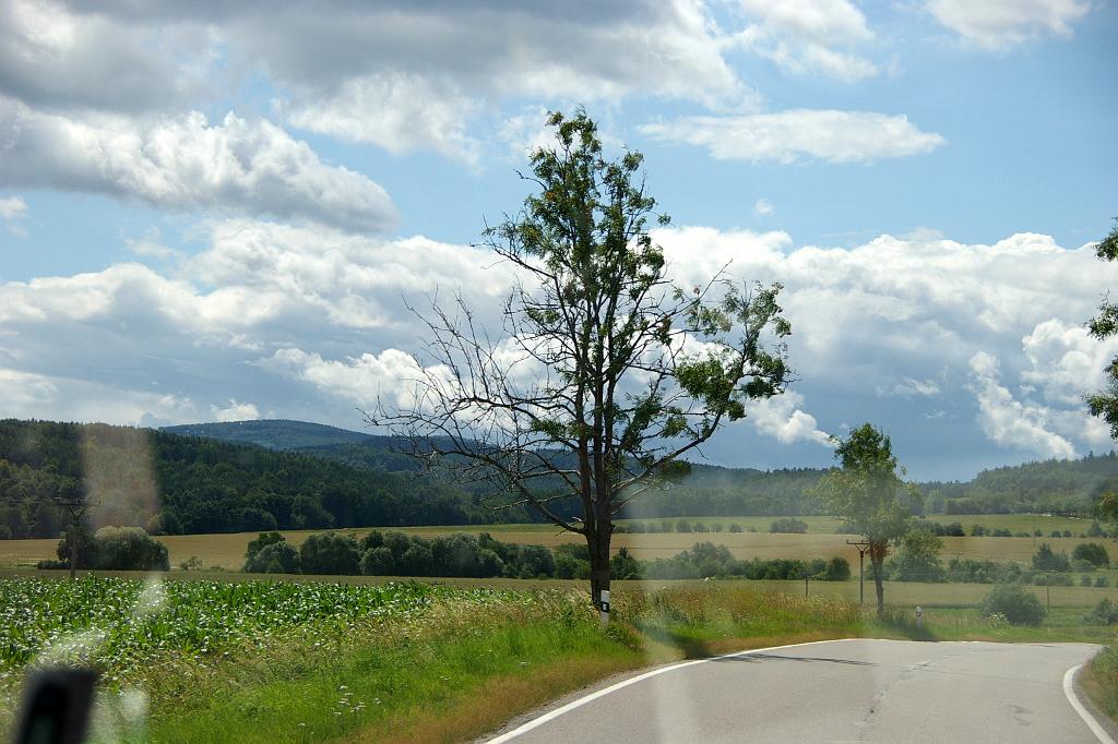 IMGP8908