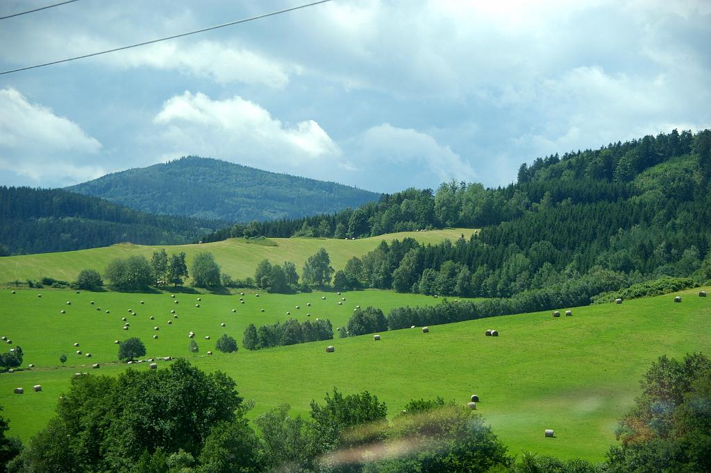 IMGP8911