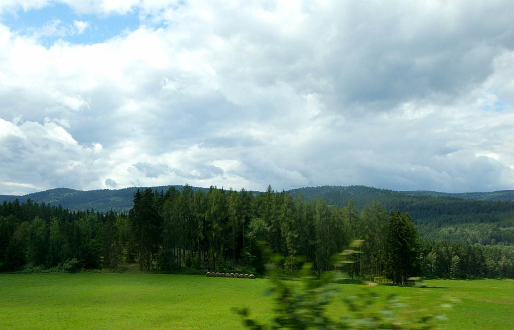 IMGP8913