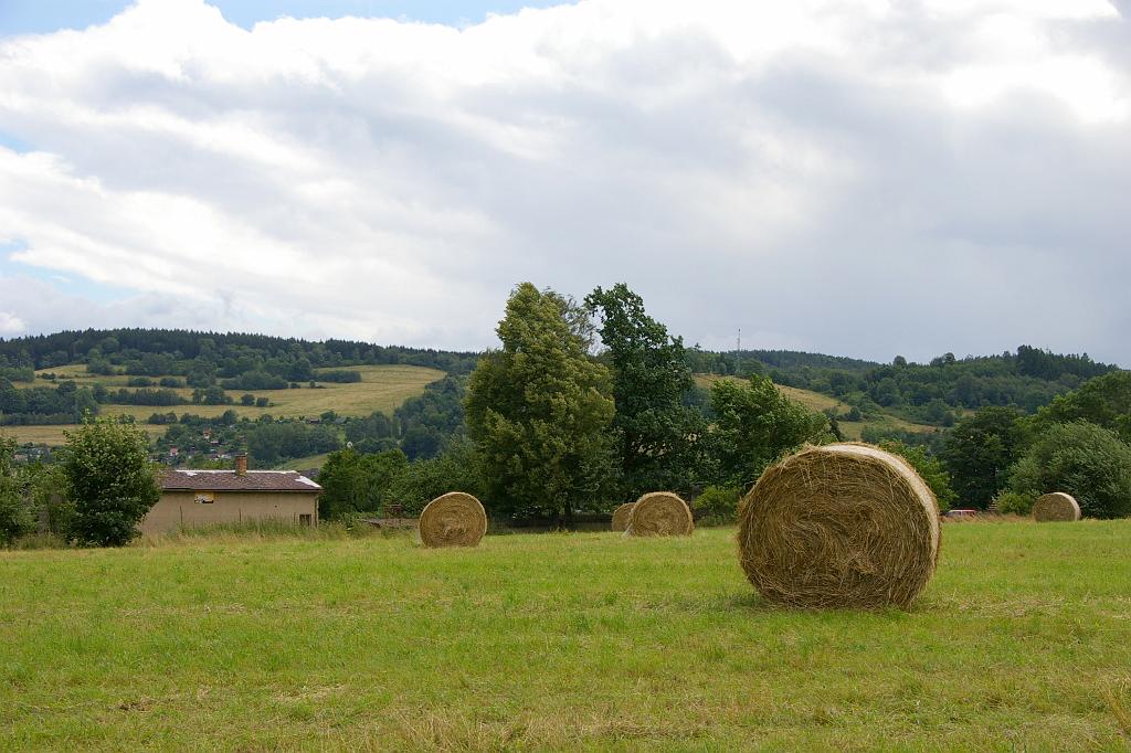 IMGP8924