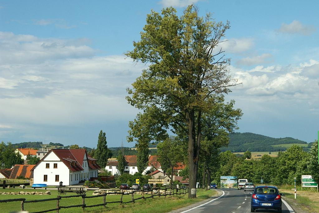 IMGP9314