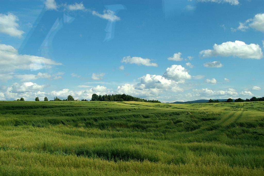 IMGP9316