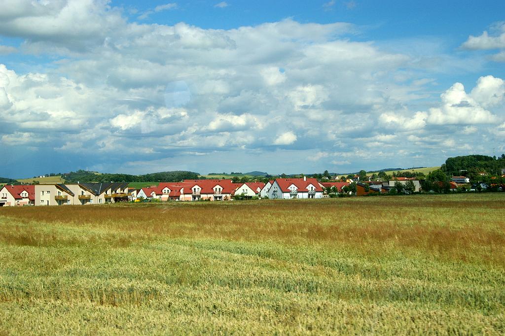 IMGP9319