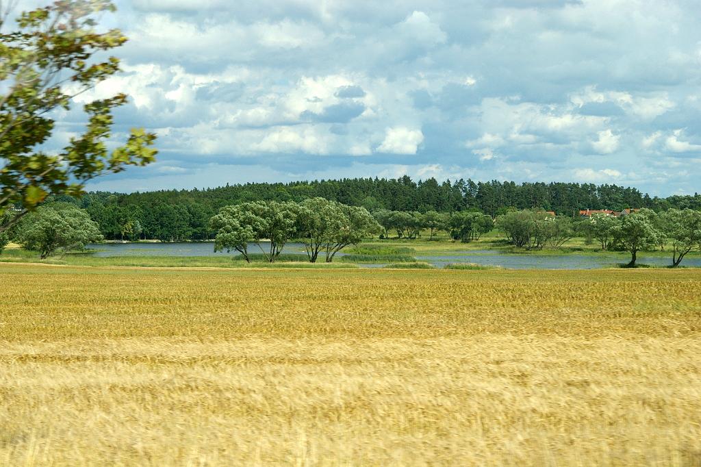 IMGP9322