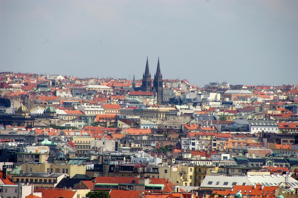 IMGP5949