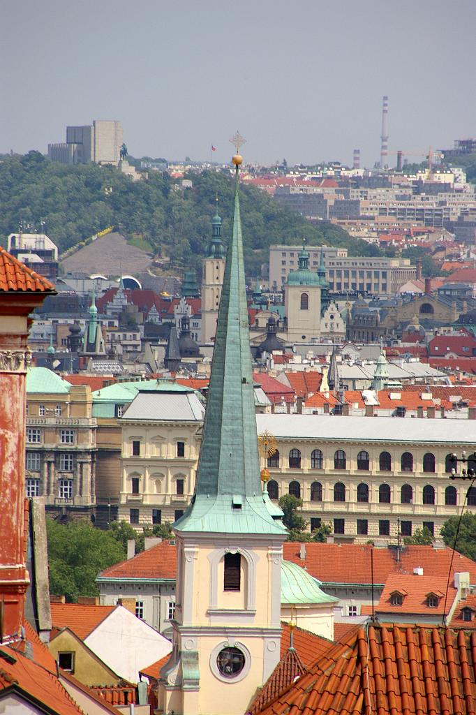 IMGP5955