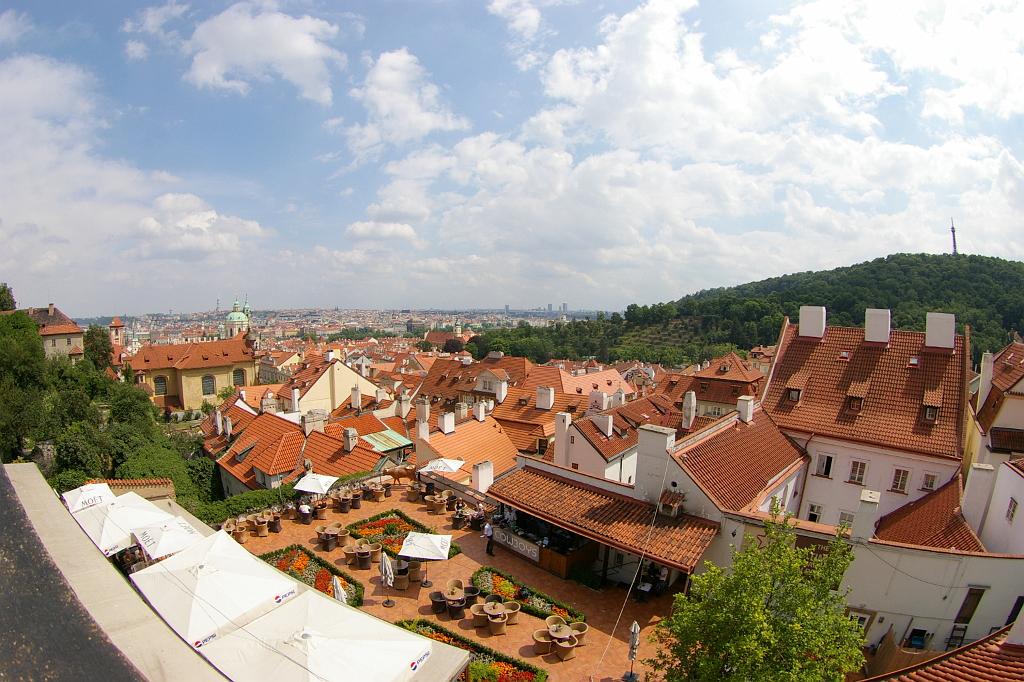IMGP5958