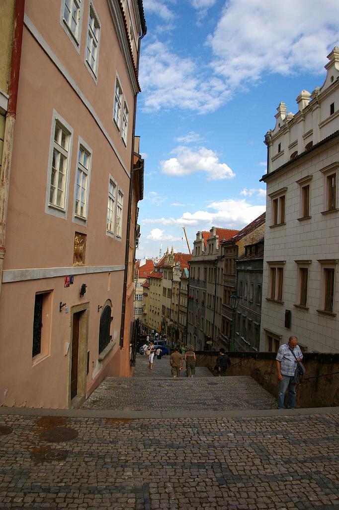 IMGP7247