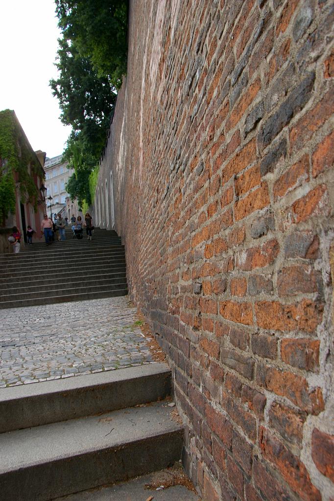 IMGP7251