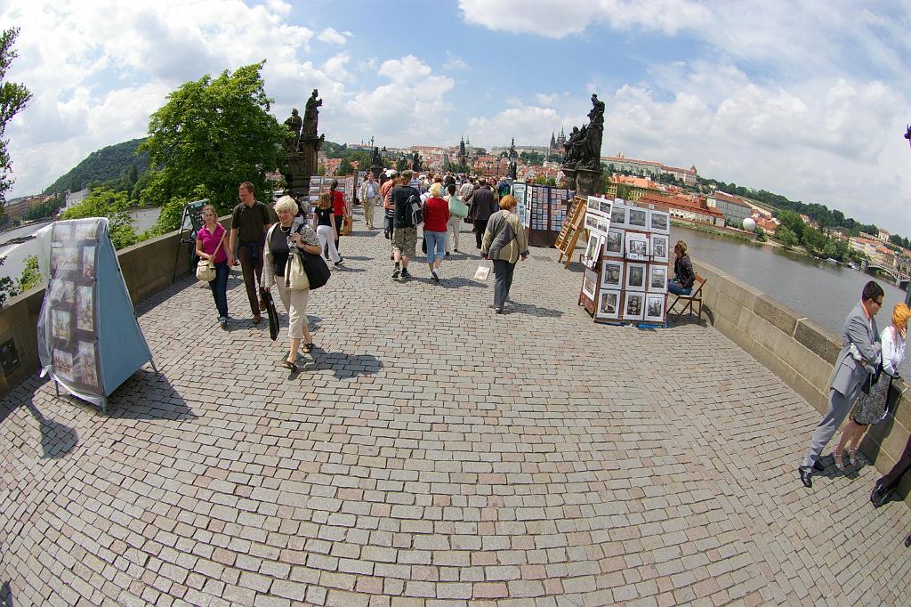 IMGP5799