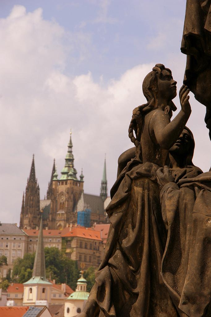 IMGP5828