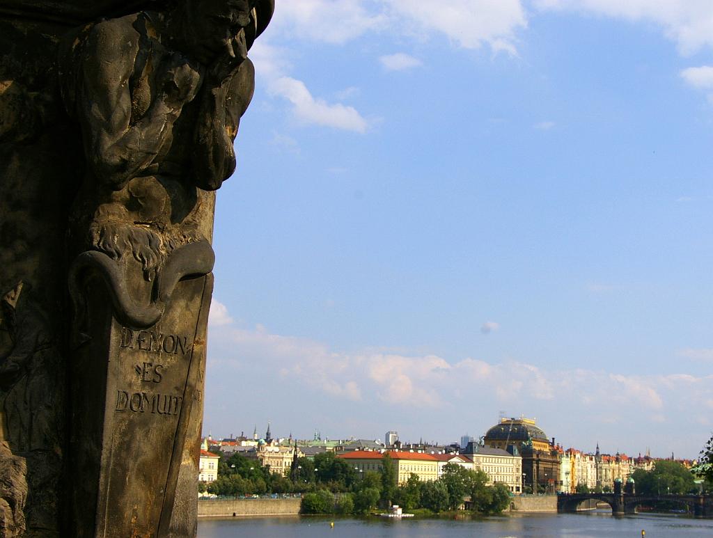 IMGP6438