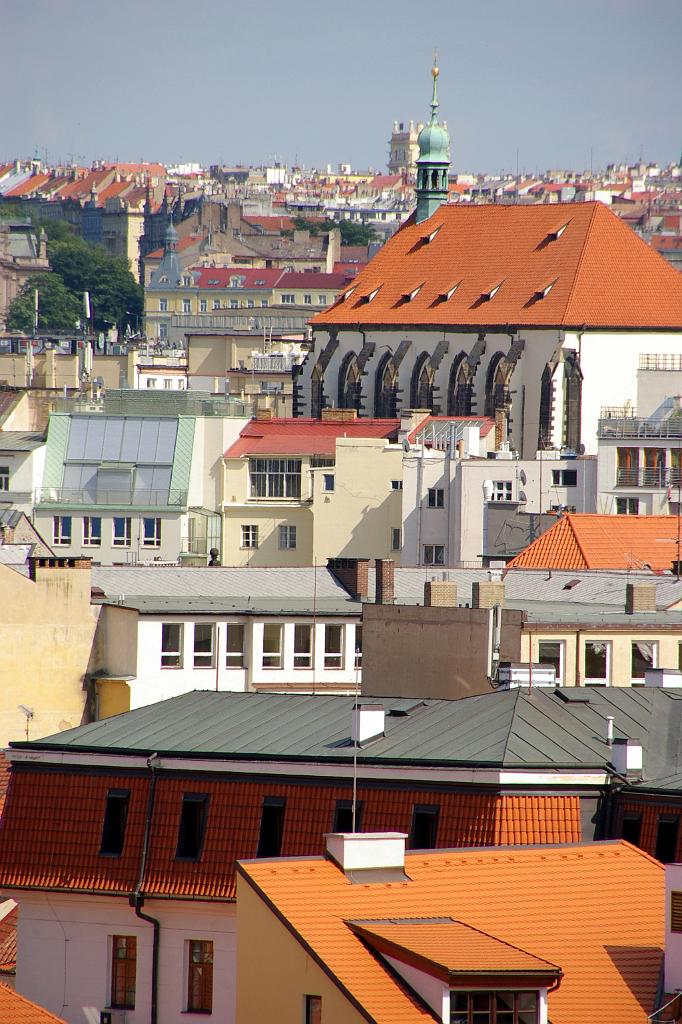 IMGP7146