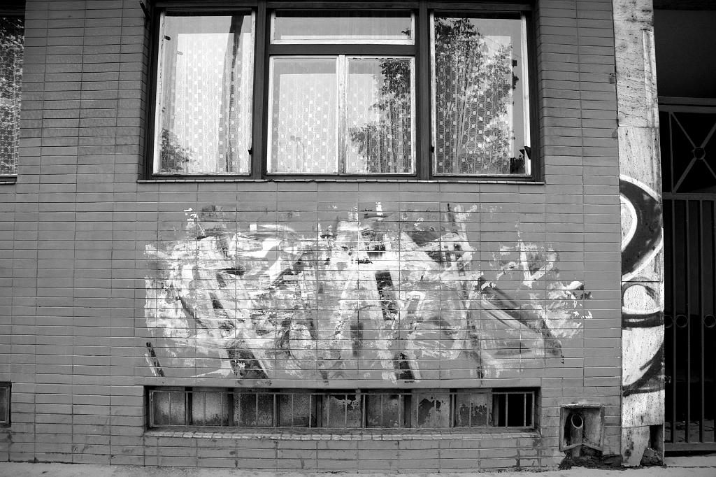 IMGP4941