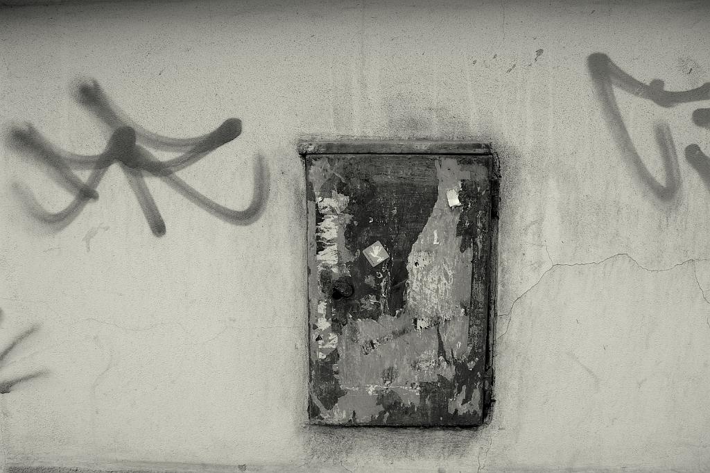 IMGP4966